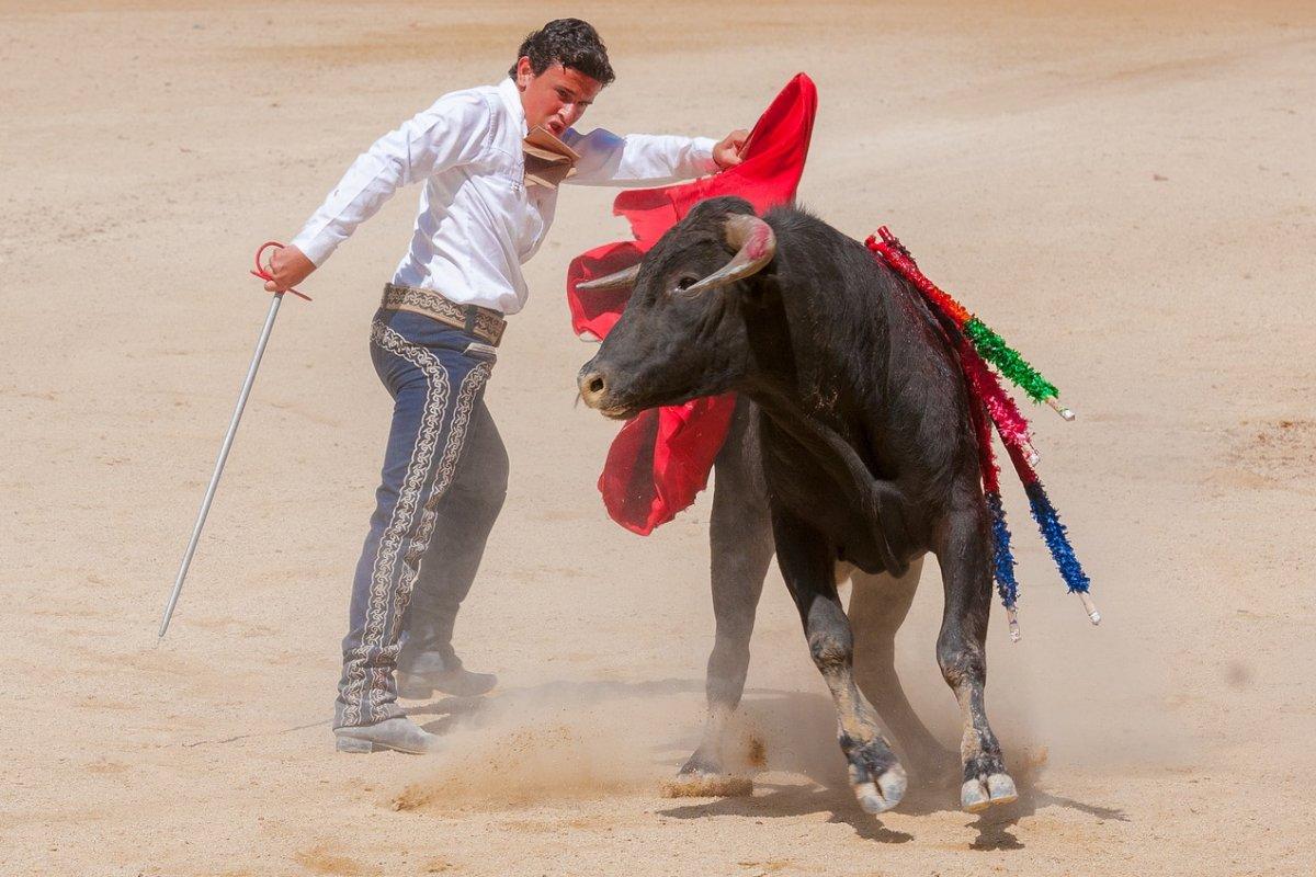 18 - spanish bullfighting facts