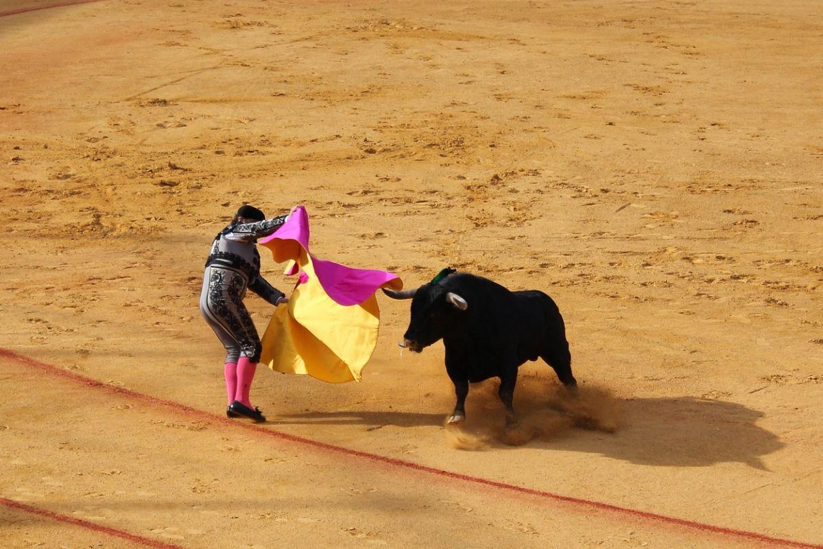 6 - bullfighting in spain facts