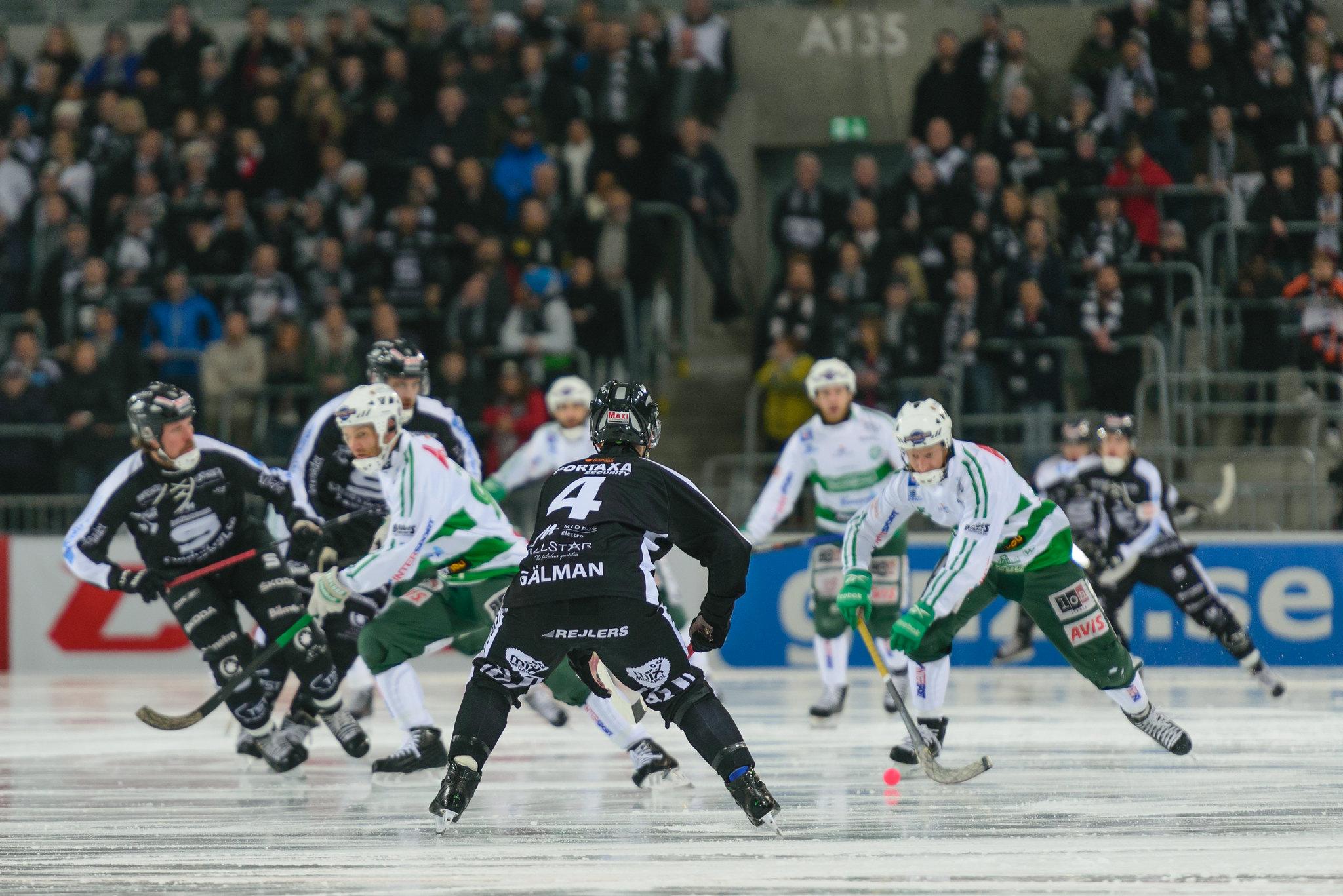 bandy is in the popular winter sports in finland