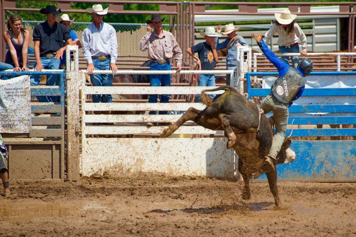 bull riding is in the traditional mexican sports