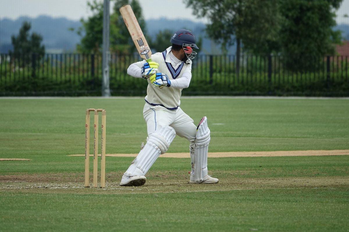 cricket is one of the most famous sports in japan