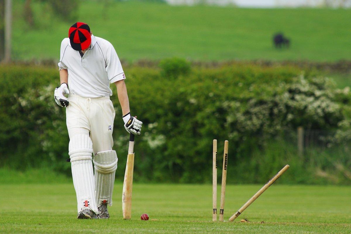 cricket is one of the most popular sports in china