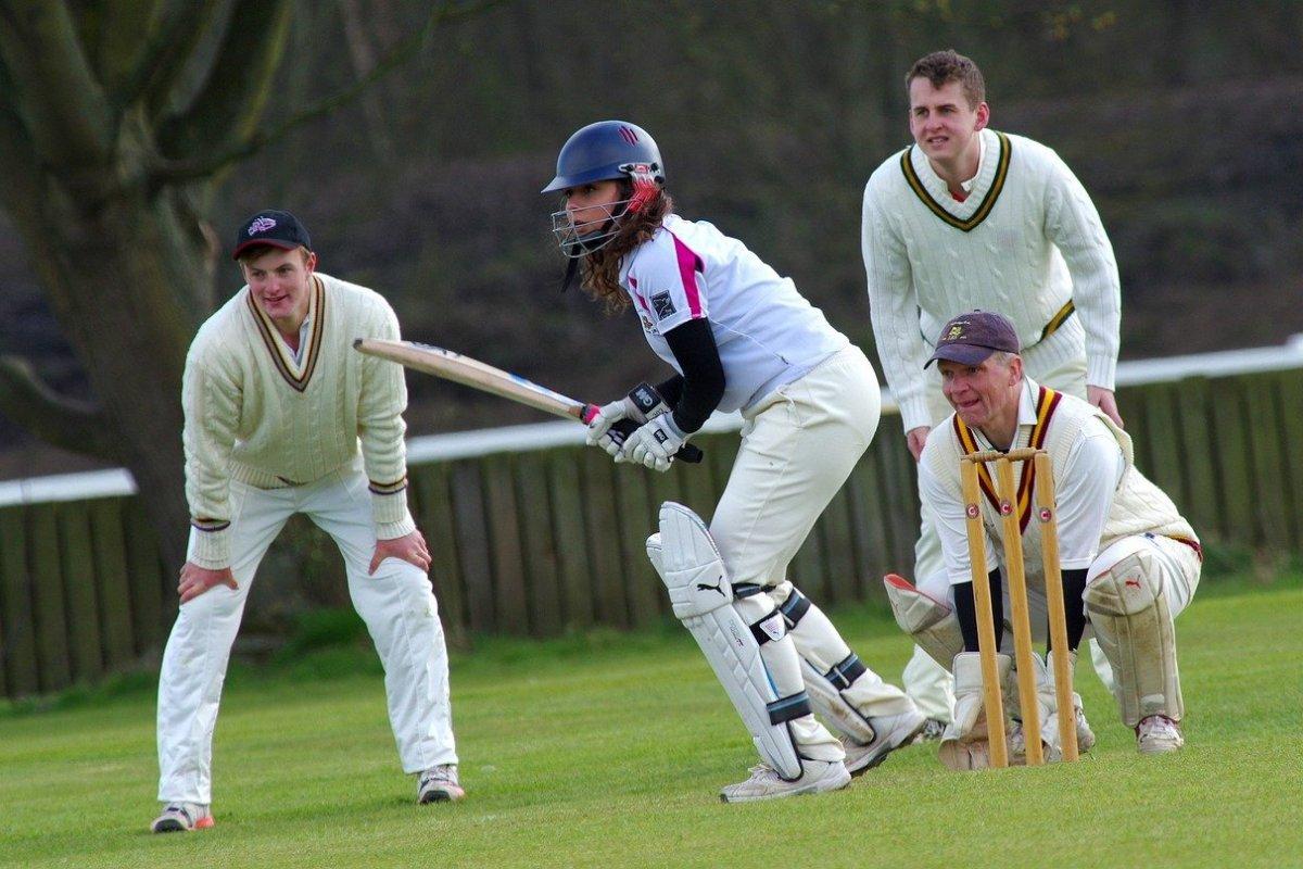 cricket is one of the popular sports of new zealand