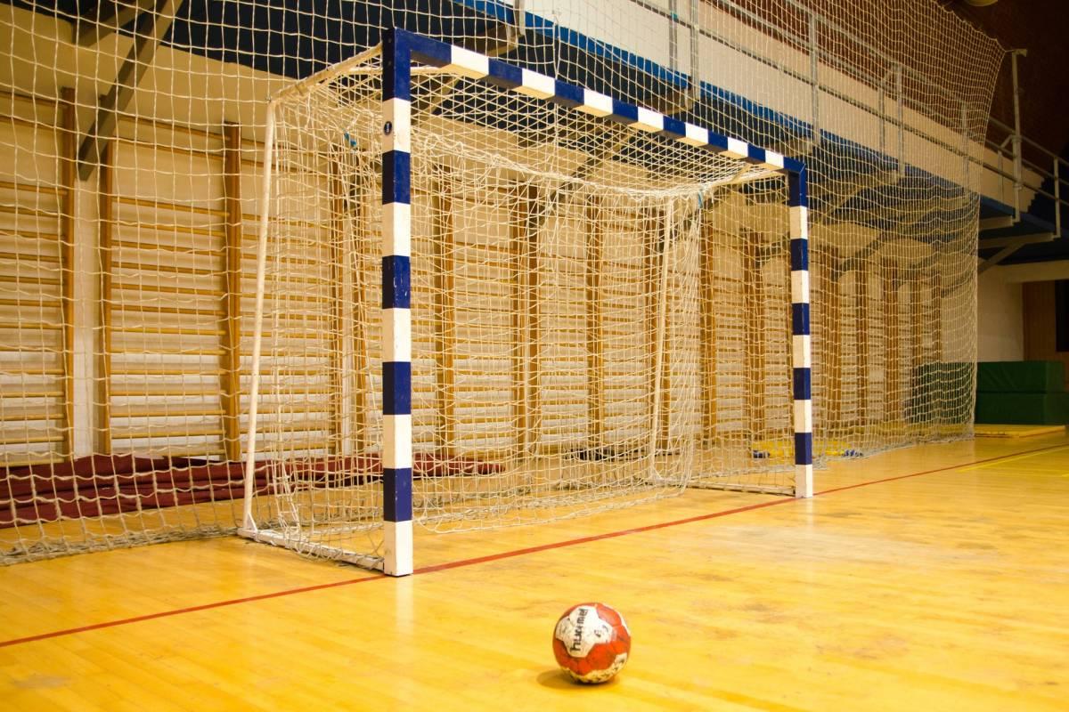 handball is in the popular russia sports
