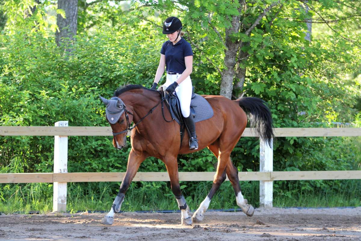 horse riding is in the popular sports played in belgium