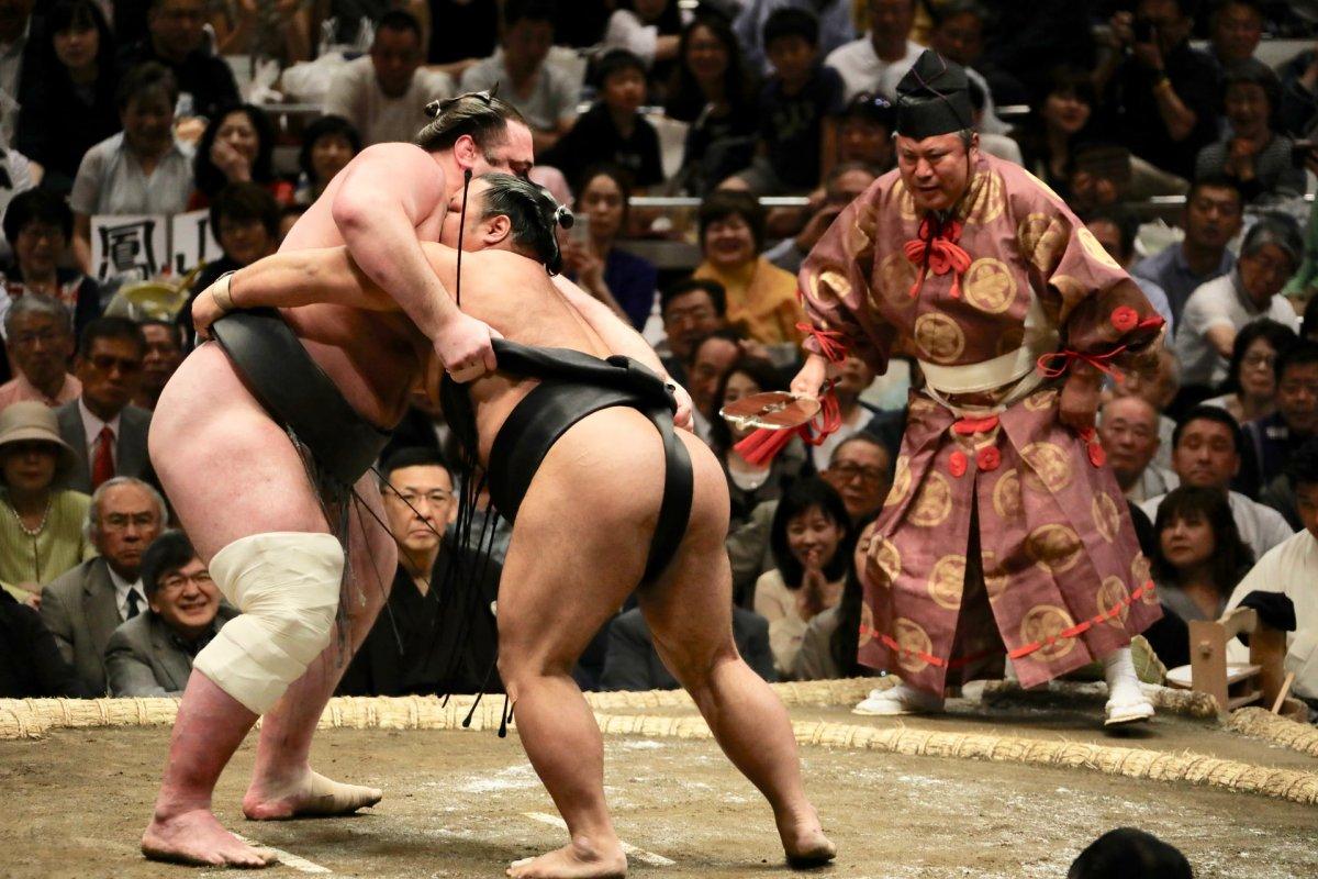 sumo wrestling is the national sport in japan