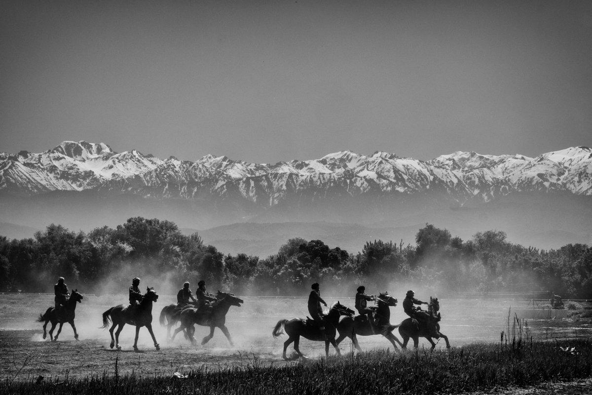 buzkashi is the afghanistan national sport