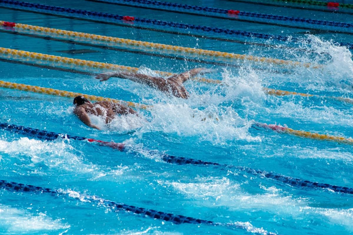 facts about brazil sports and swimming