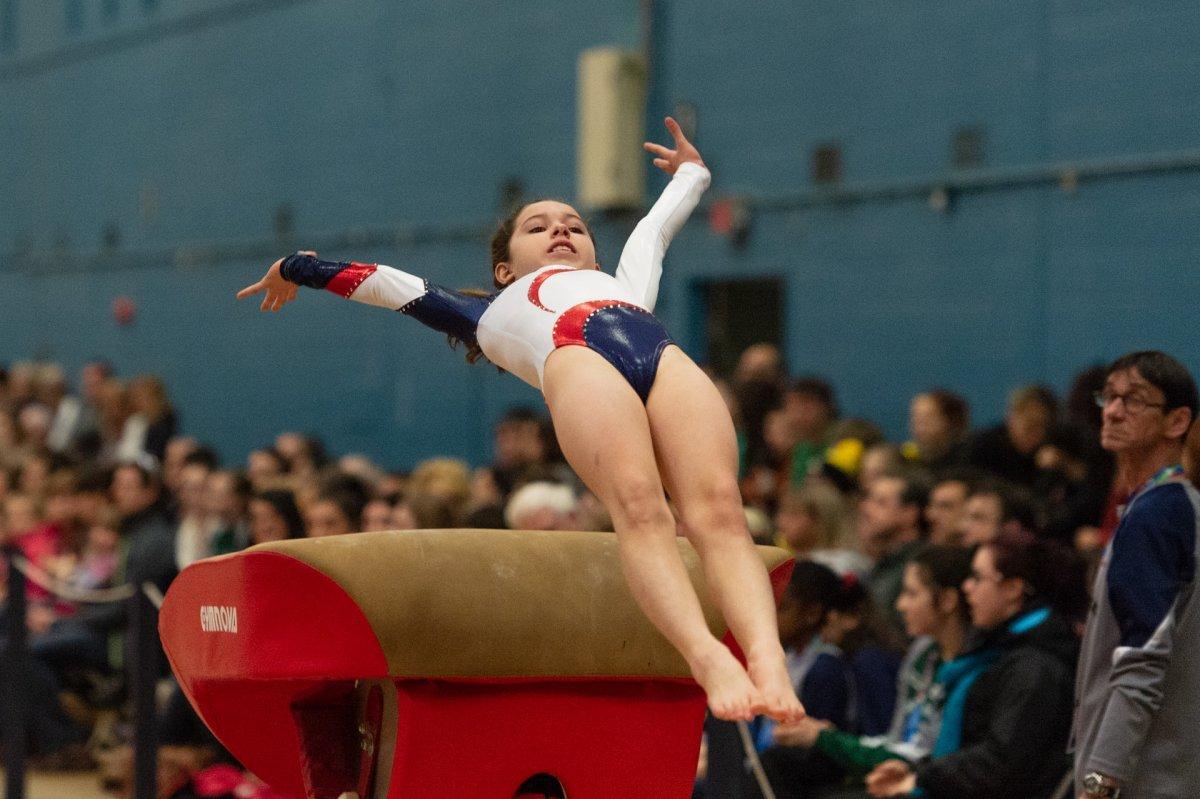 gymnastics is one of the most famous sports in croatia