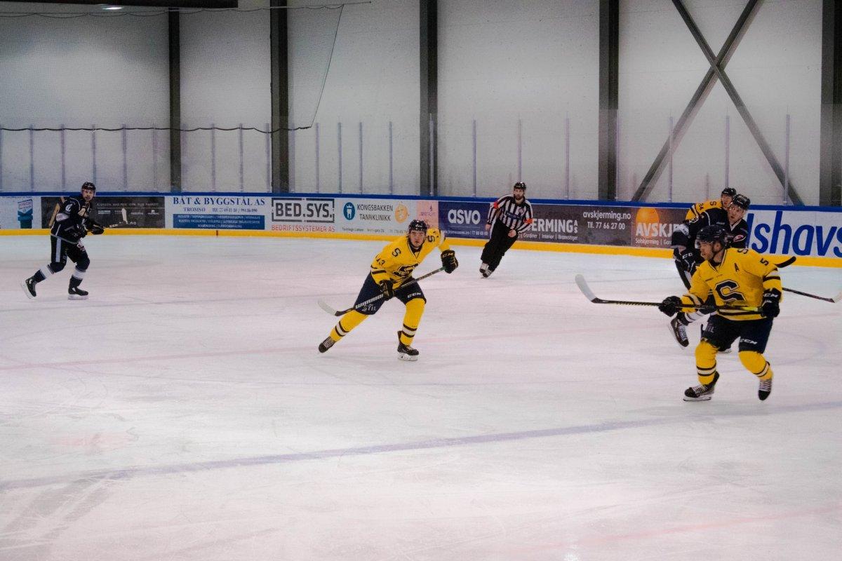ice hockey is one of the popular winter sports in norway