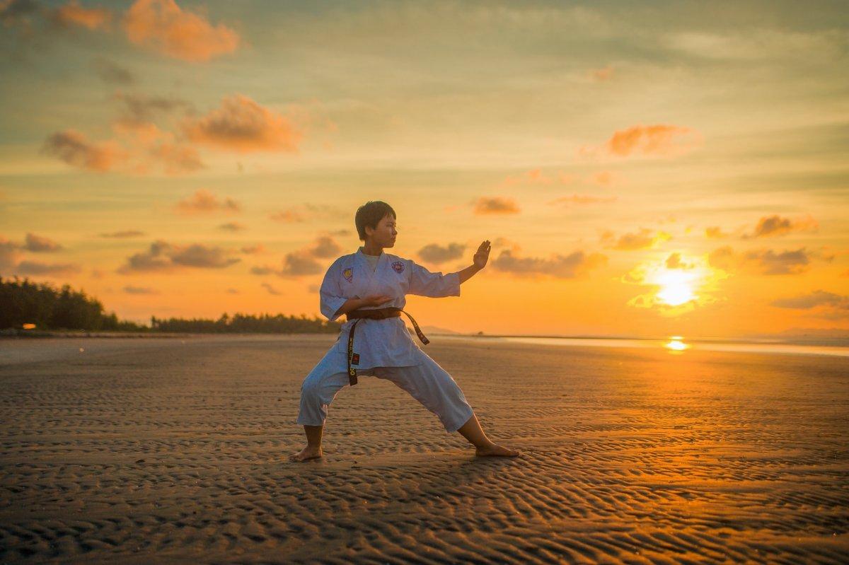 martial arts is popular in indonesia