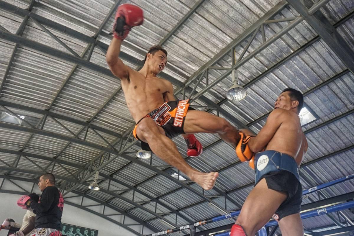 mma is one of the world's most popular sports