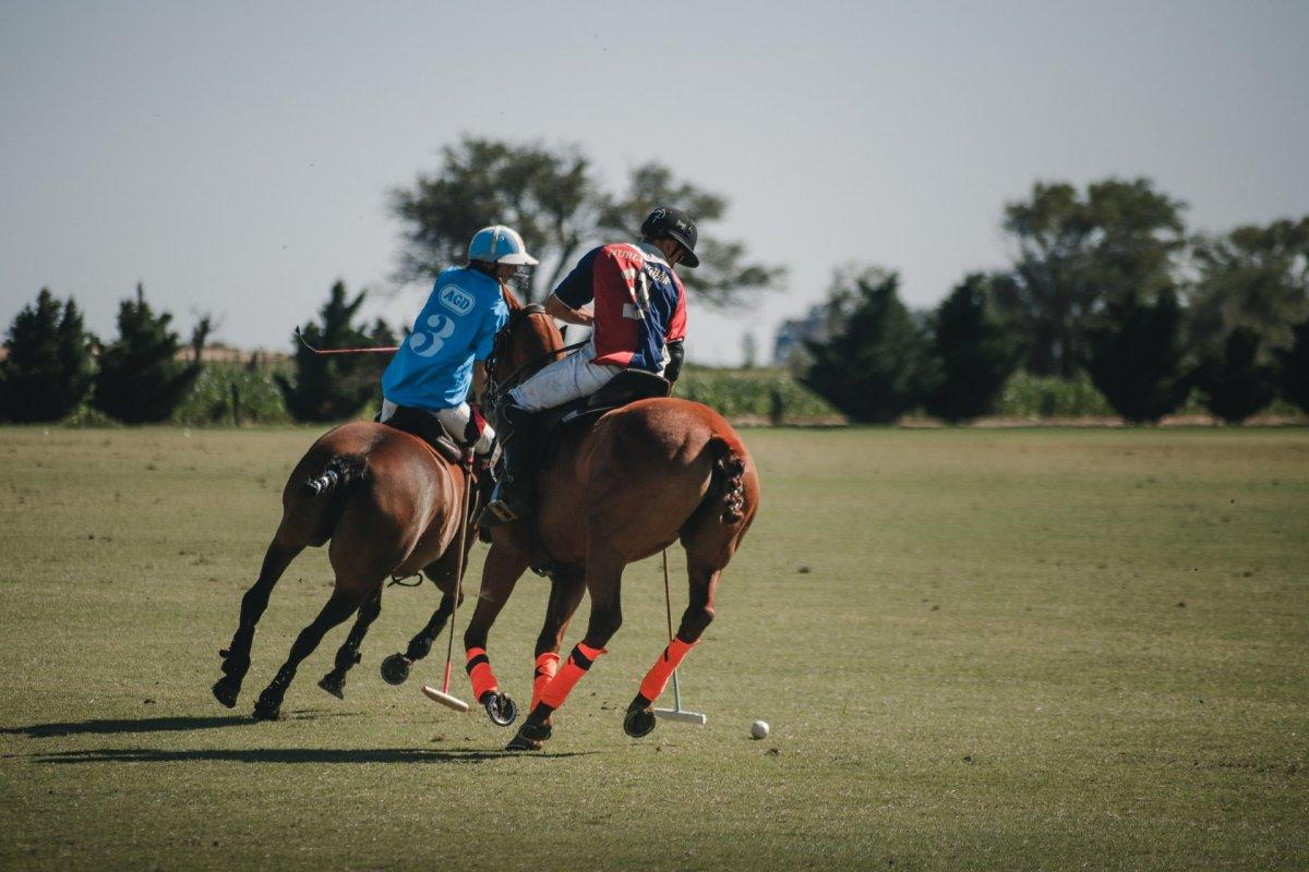 polo players