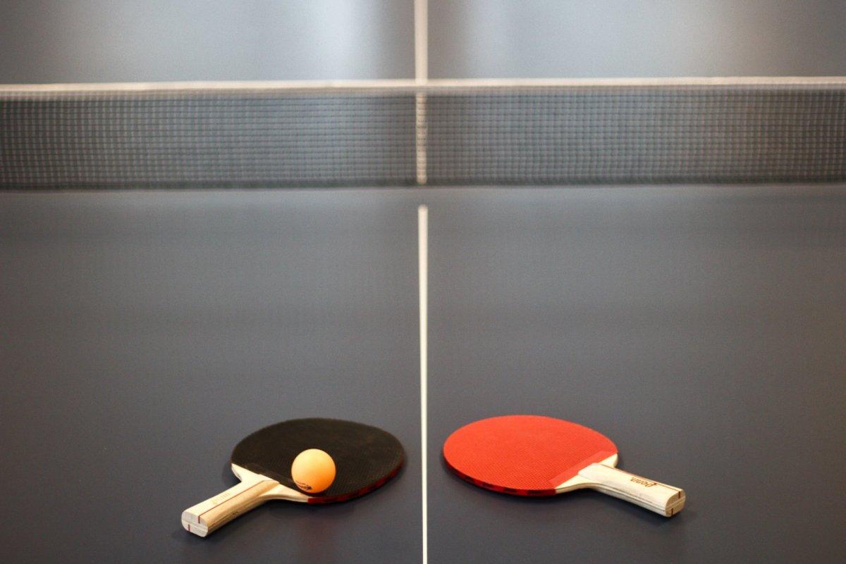 table tennis is a brazil national sport