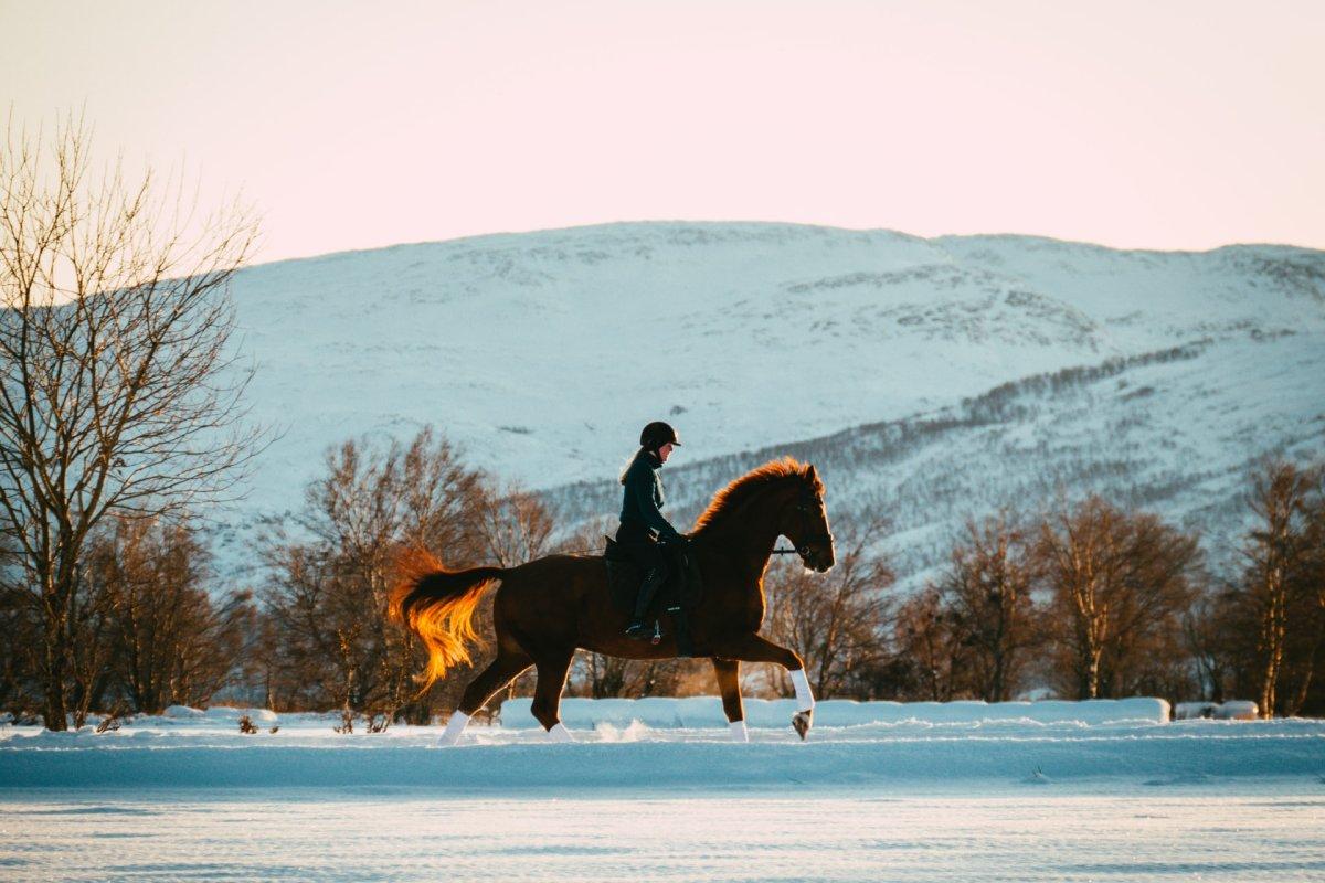 Iceland Sports – The Most Popular Sports in Iceland