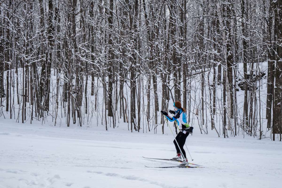 winter sports in austria are popular