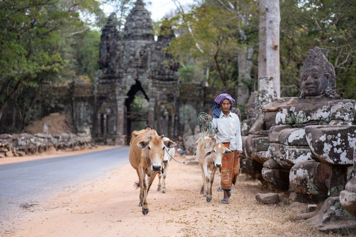 1 - cambodia education system facts