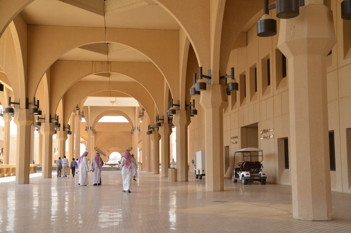 16 - saudi arabia high school and university facts
