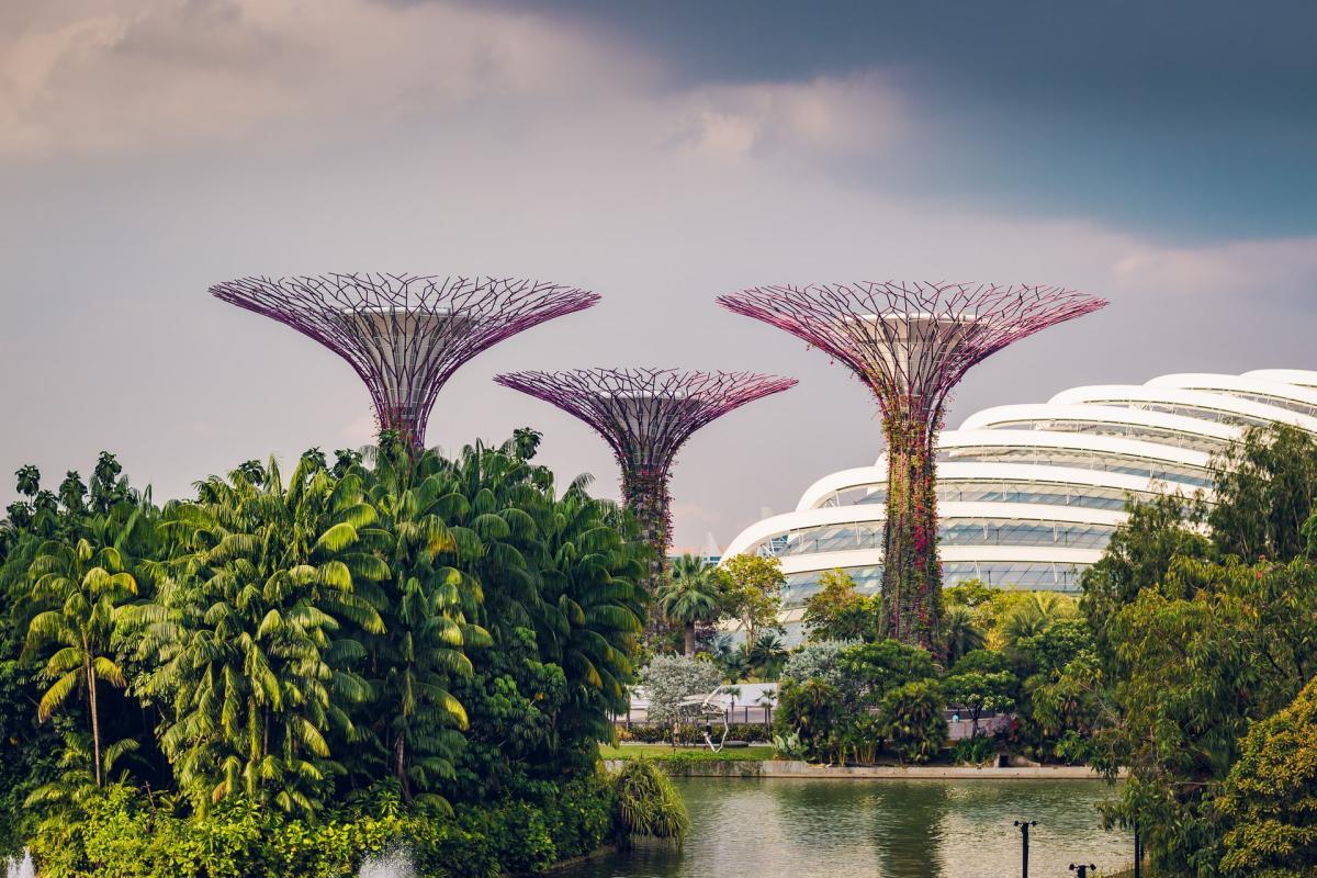 25 Interesting Singapore Education Facts [100% true]