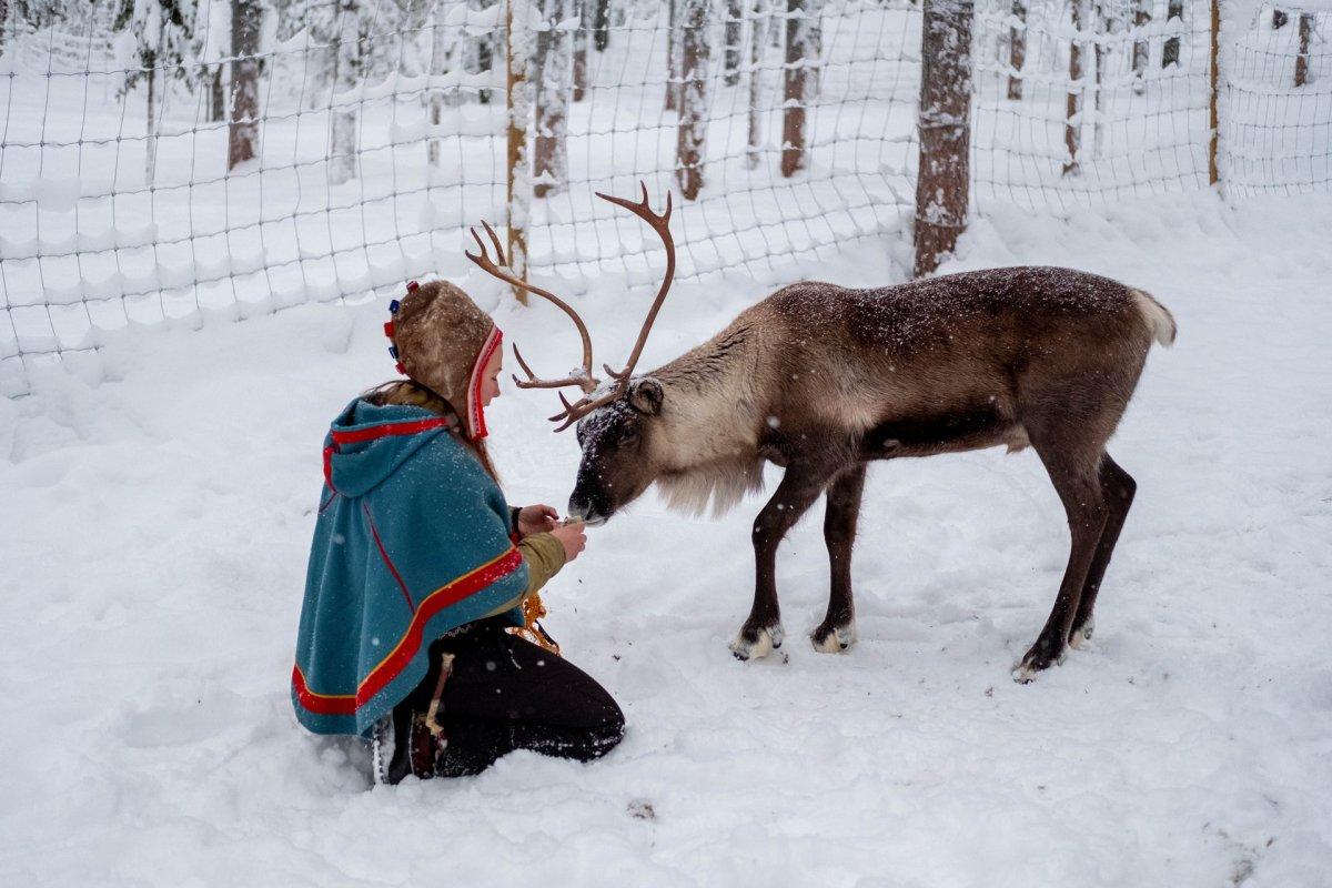 4 - the swedish school system includes sami schools