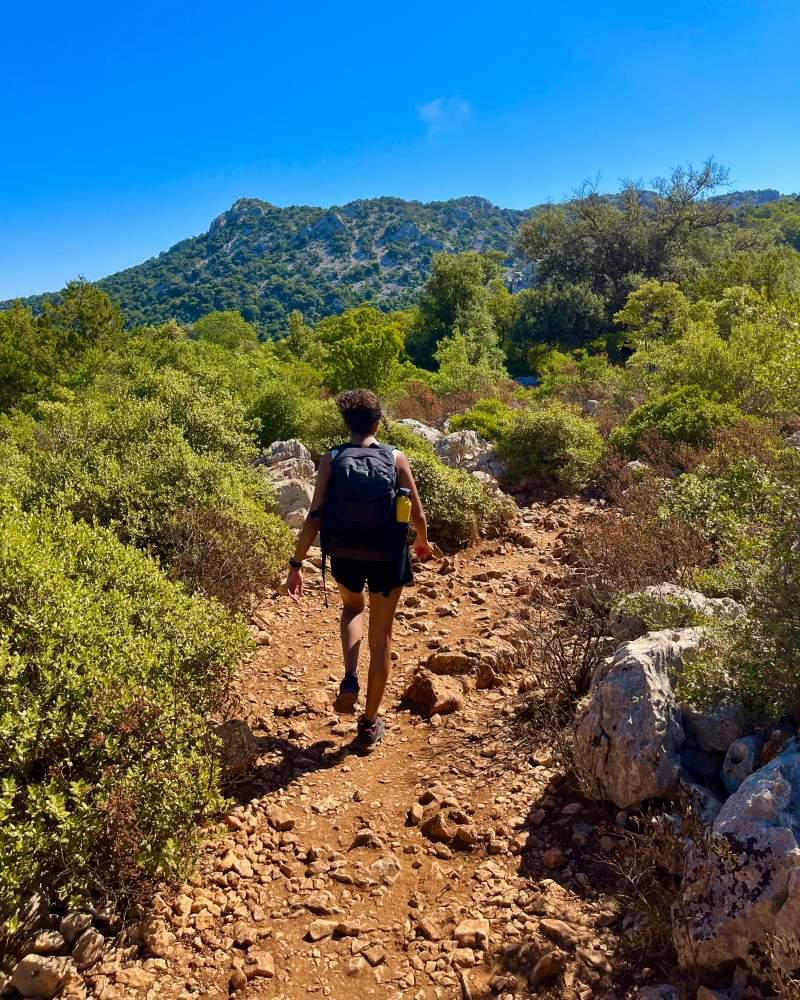 2 - nes walking on the rocky trail