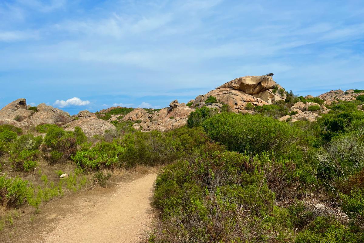 3 - rocks on the trail