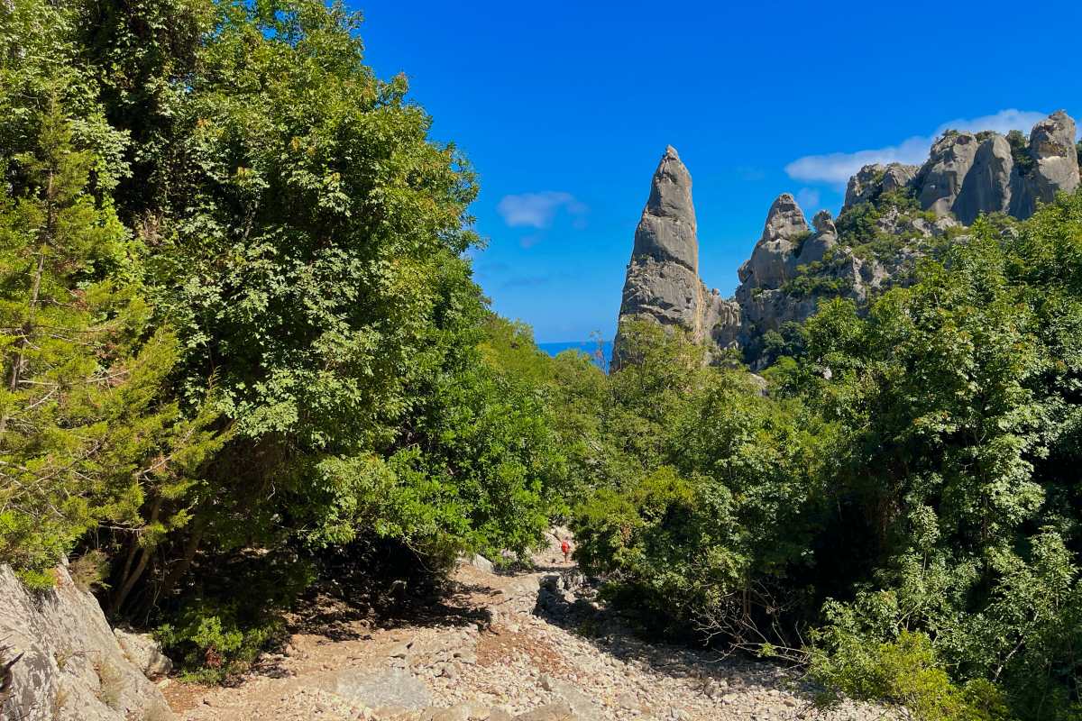 5 - best view of the pinnacle on the trail