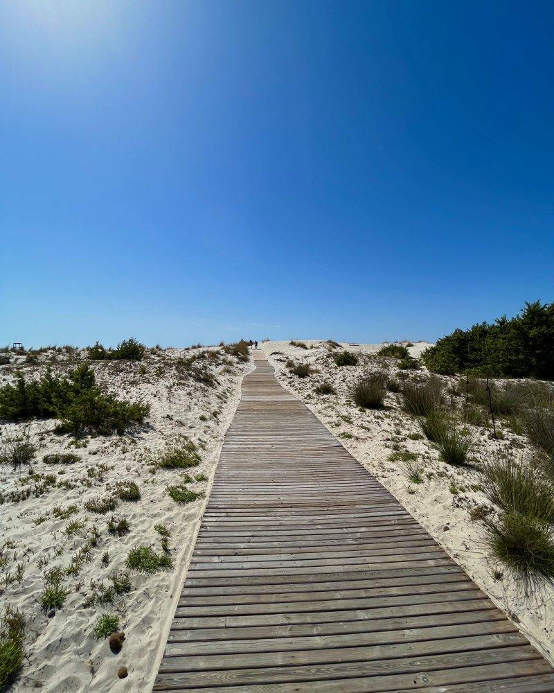 path to porto pino beach
