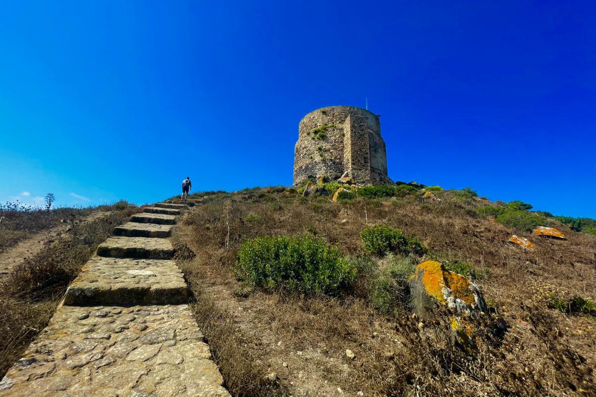 1 - kevin climbing to the tower