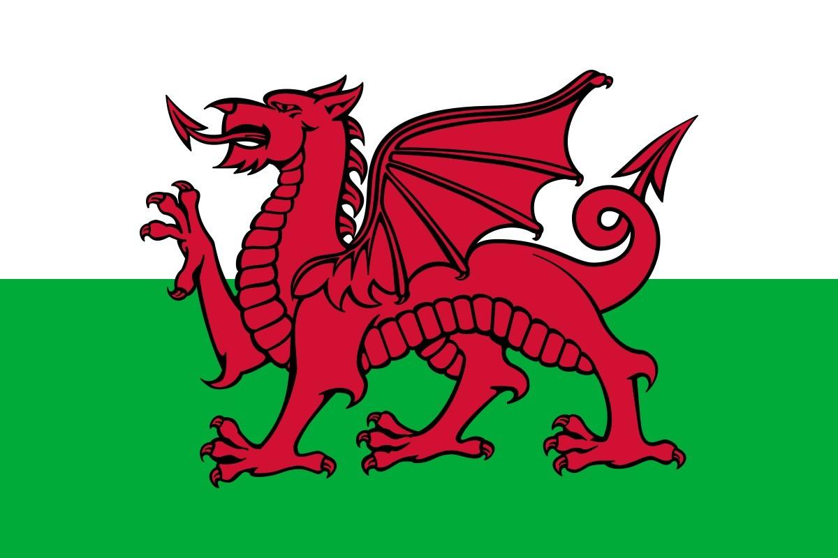 red dragon is the official animal of wales