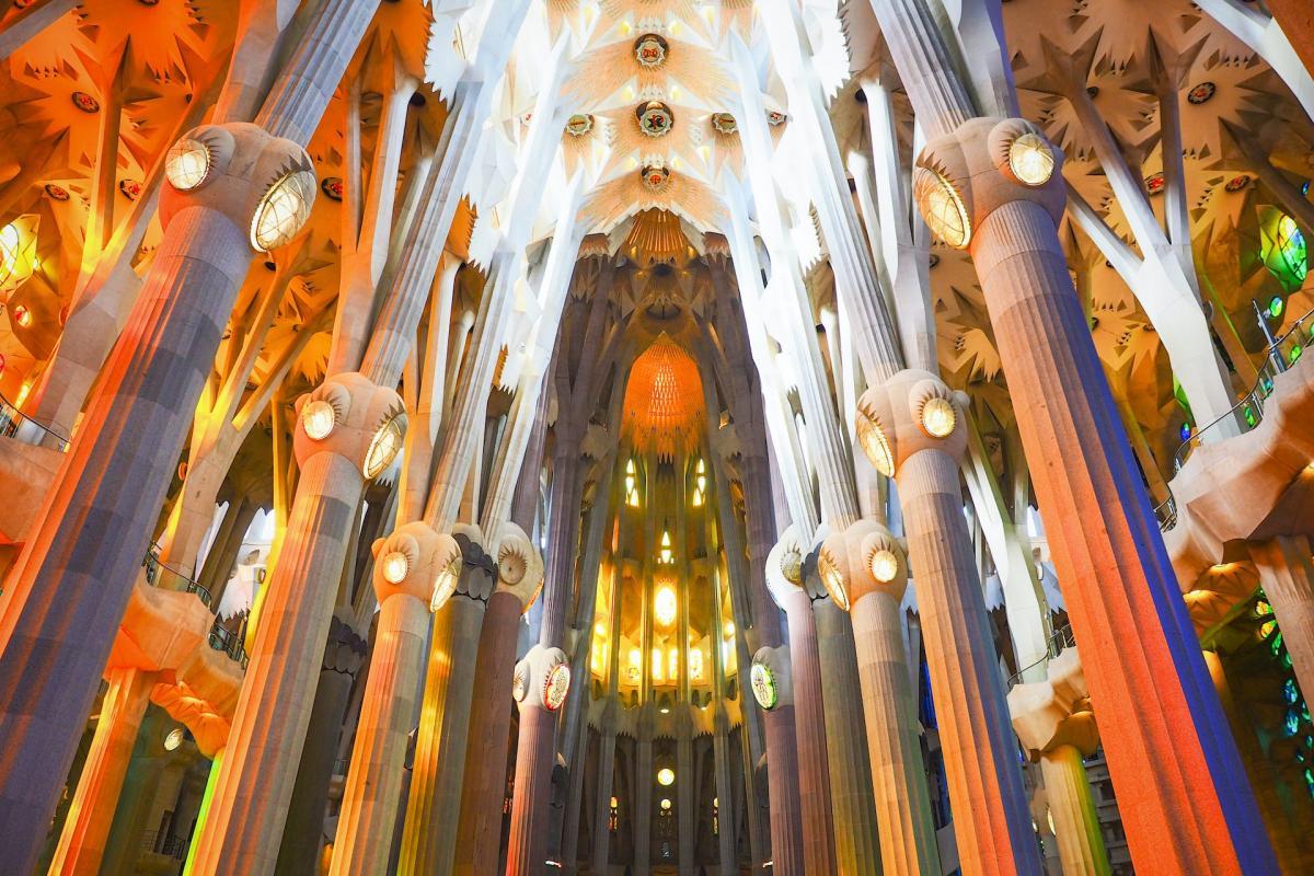 the beautiful ceiling of the sagrada familia