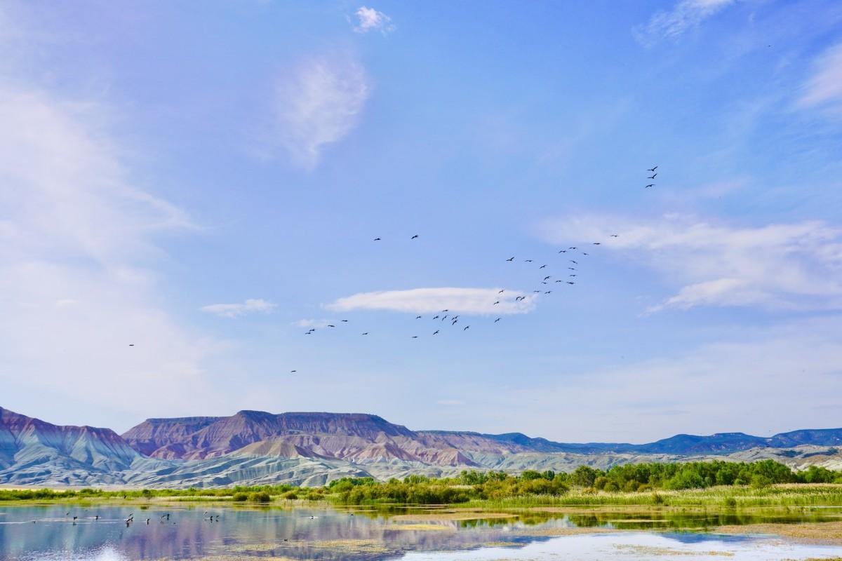 nallıhan bird sanctuary