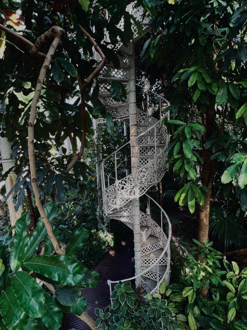 botanical garden beautiful white stairs