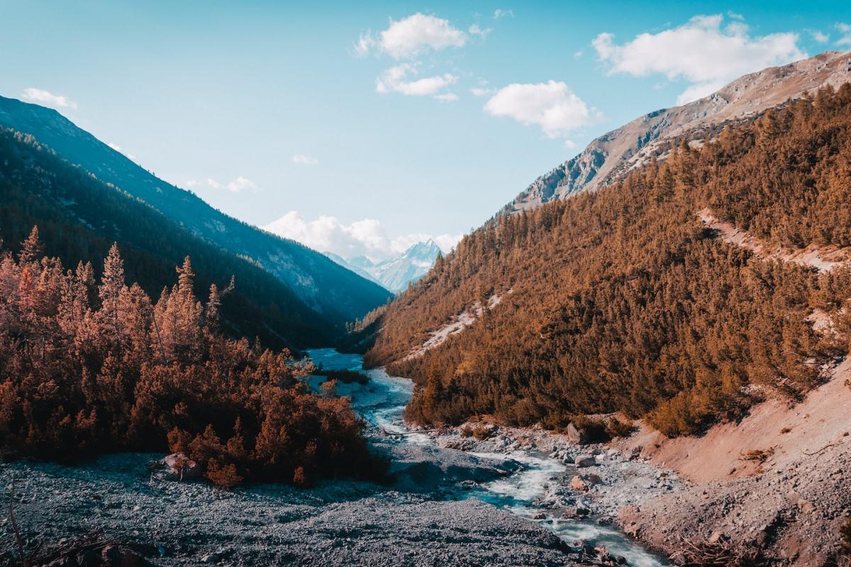 swiss national park