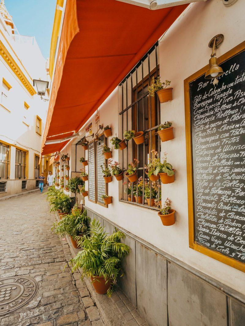 barrio santa cruz is a top area to visit on a day trip malaga to seville