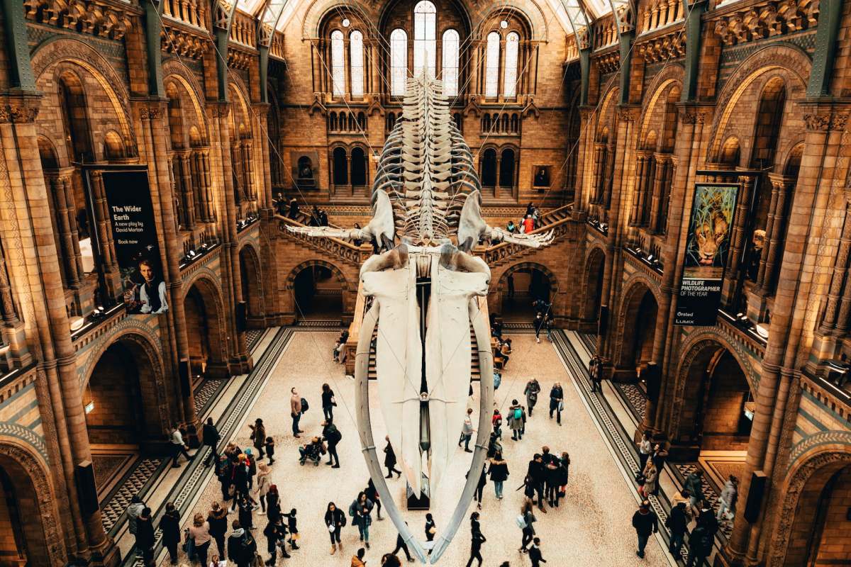 natural history museum is one of the nerdy places in london