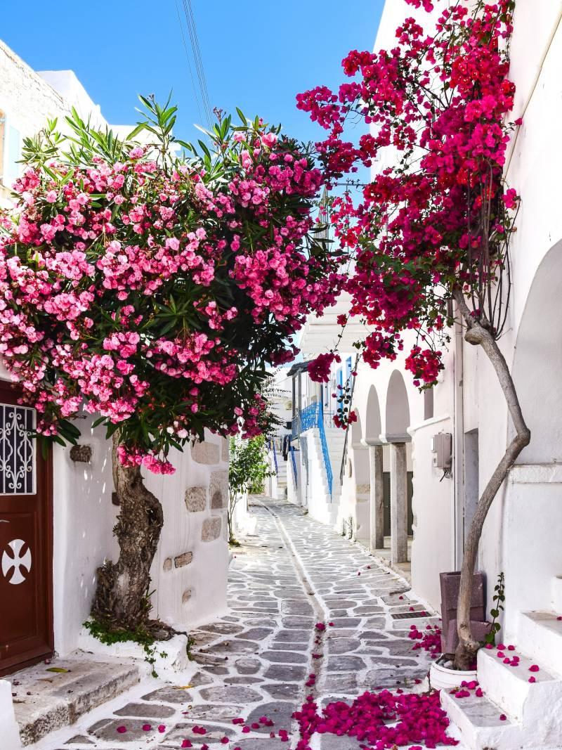 parikia must be in your paros to do list