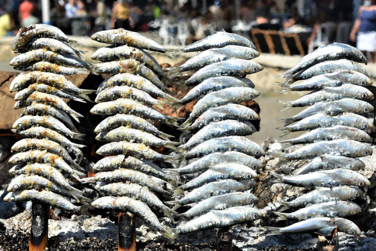 trying some espetos de sardinas is a must when spending 24 hours in malaga