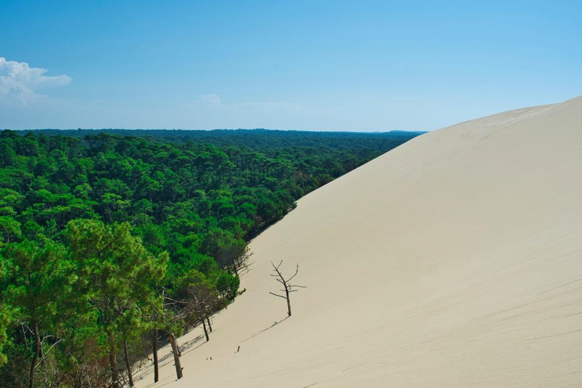 dune du pilat is a great beach day trip from bordeaux