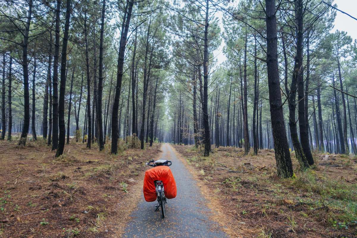 landes is one of the best day trips from bordeaux by car