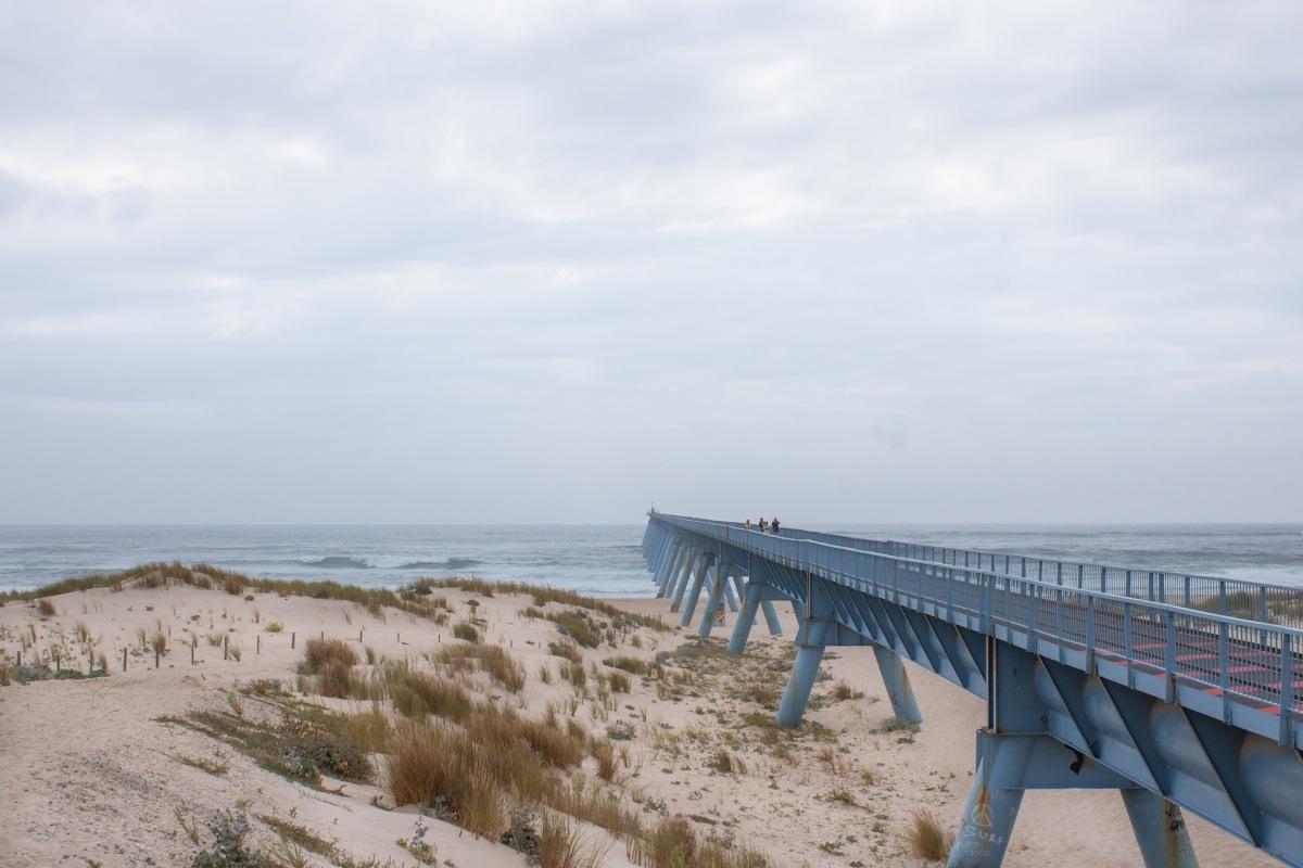 la salie counts among the best beaches arcachon has to offer