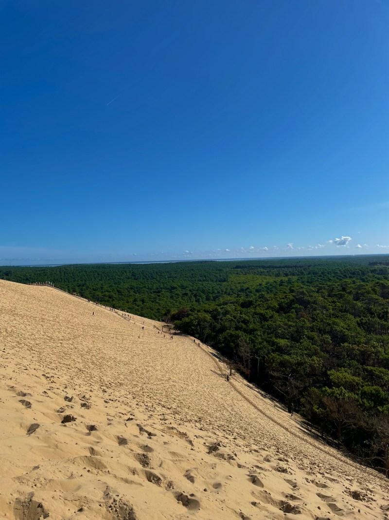 people climbing the stairs to the dune summit