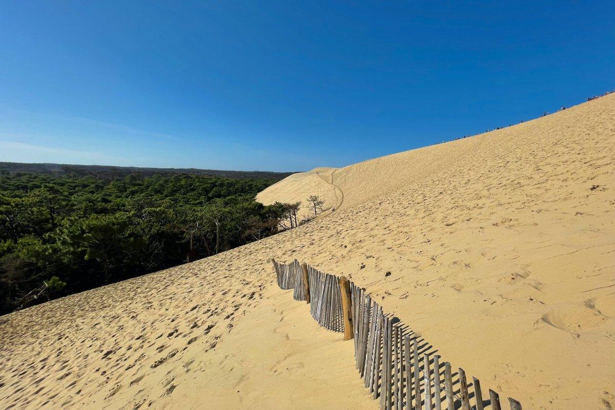 pyla dune and the landes forest