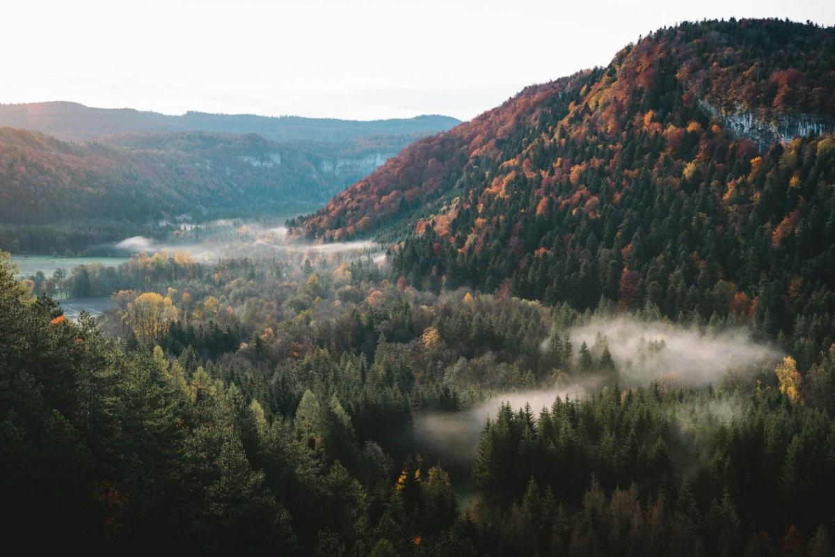 jura france is one of the best fall trips to europe you could do