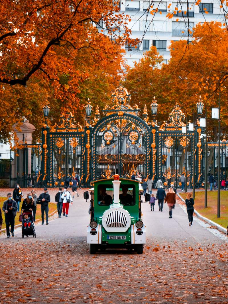 parc de la tete d or during autumn in lyon france