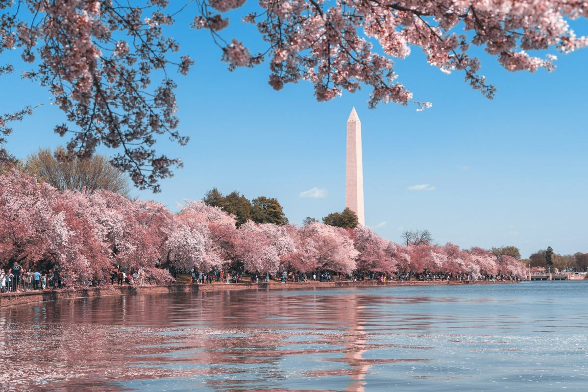 washington dc is one of the best places to visit in april in usa