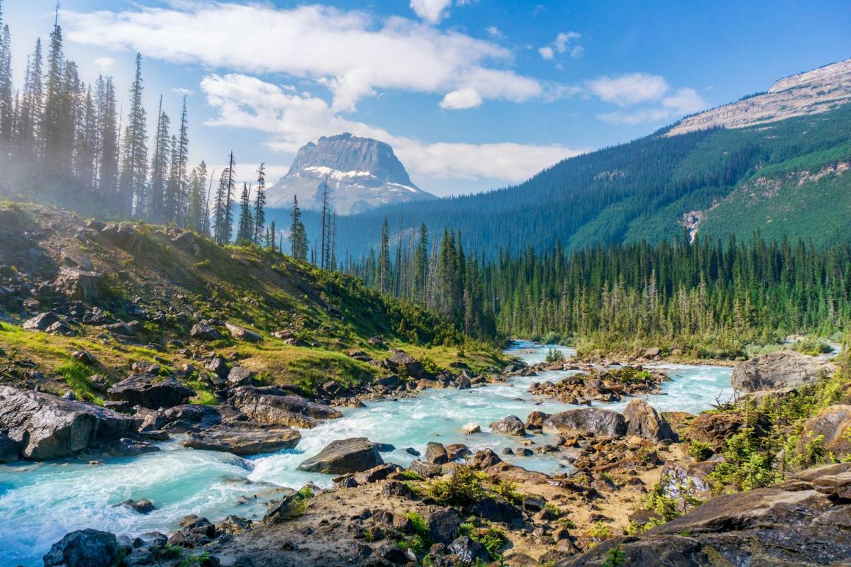 glacier national park in may