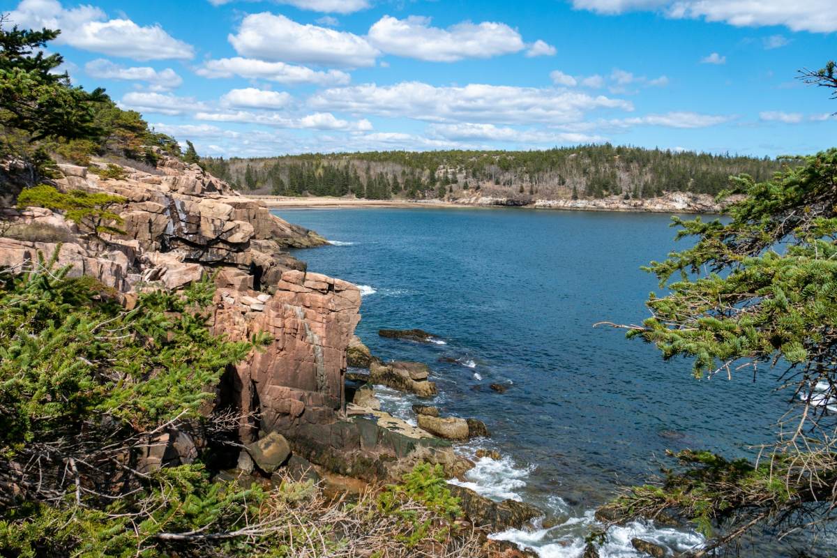 acadia national park in june