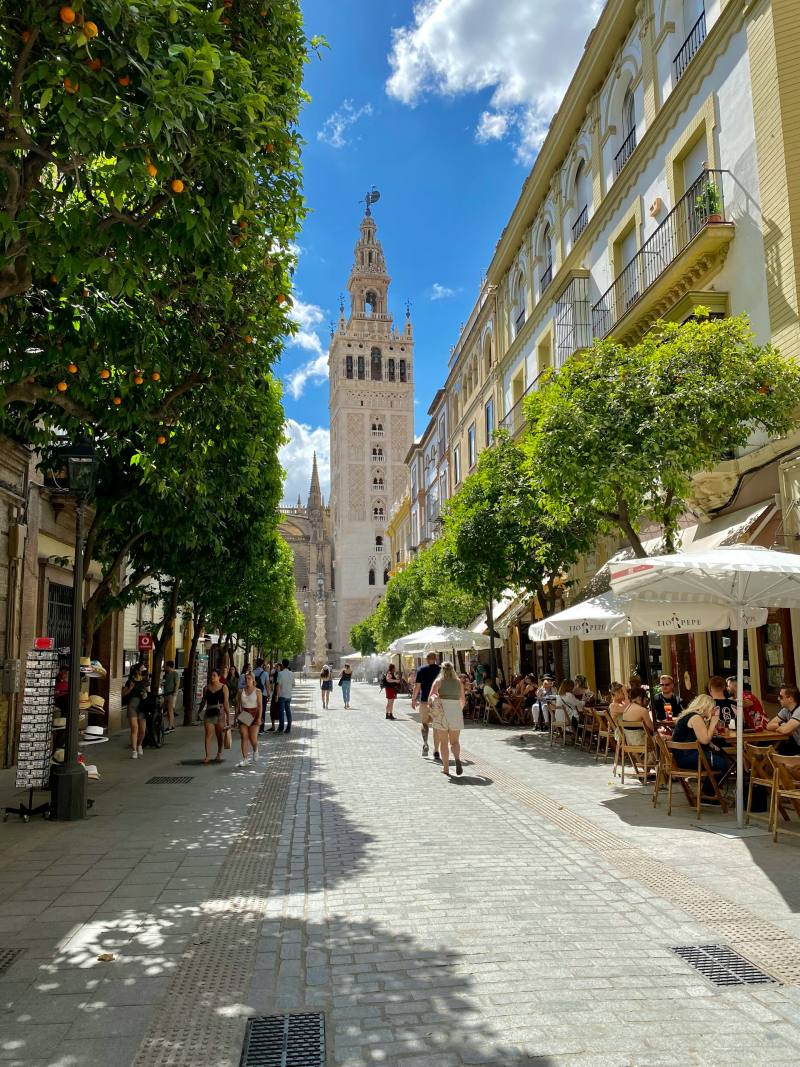 barrio santa cruz is the best neighborhood to stay in seville