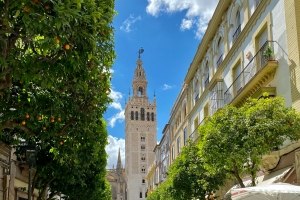 barrio santa cruz